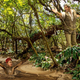 Illustration for article titled John Kerry Throws Vine Over Pit Of Quicksand To Save Child Companion